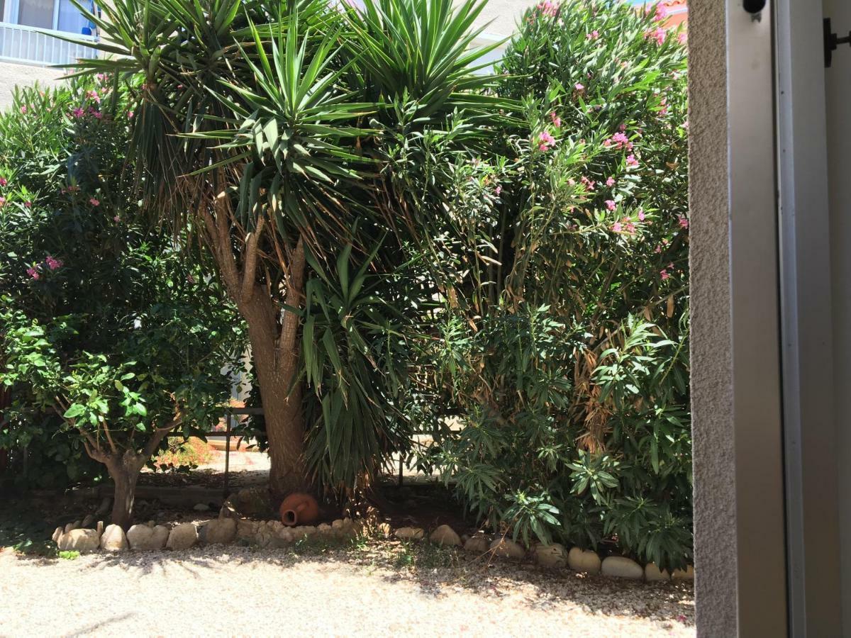 דירות Paphos Diamond Complex מראה חיצוני תמונה